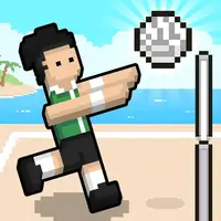Volley Random Icon